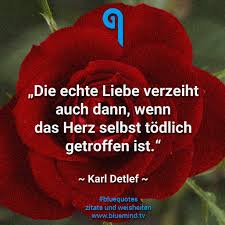 Die Besten Sprüche über Liebe Bluemindtv