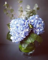 Hours may change under current circumstances Much More Than Flowers Home Facebook