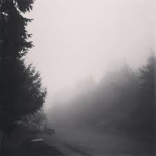 Literally Outside My New Front Porch West Linn Or Mt Hood Exists Deep Behind This Heaven Sent Mist Mthood Heaven Sent Fog Photography West Linn Oregon