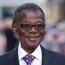 Buthelezi, zulu chief, south african politician, and leader of the inkatha freedom party. Mangosuthu Buthelezi Birthday Real Name Age Weight Height Family Contact Details Wife Children Bio More Notednames