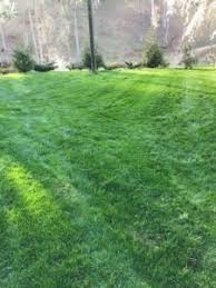 Easy to book, prices are fixed and upfront. Alamo Heights Lawn Care Organic Electric Lawn Care