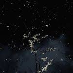 صور خلفيات سوداء hd عالية الجودة بفبوف cool black wallpaper black wallpaper pastel pink wallpaper iphone