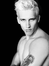 Adaptation de La Cité des Ténèbres (The Mortal Instruments)