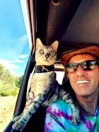 Beneath the sun's soft golden ray, Finius and his cat named Silver greet  the day. Perched