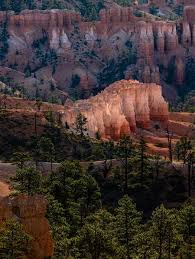 Maybe you would like to learn more about one of these? Camping In Utah Discover New Places To Camp Visit Utah