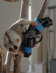 Check out kitchen gun 2. Suffocation Theory By David Rabe The New Yorker
