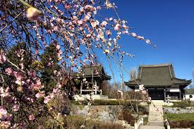 After booking, all of the property's details, including telephone and address, are provided in your booking confirmation and your account. Ausflugstipp Das Eko Haus Der Japanischen Kultur In Dusseldorf Dusseldorf