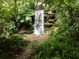 While waterfalls in florida might not be everywhere you turn, there are quite a few that are worth checking out for a dose of natural beauty. Visit 3 Natural Waterfalls In Florida Backroad Planet