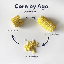 Corn For Baby Corn Weaning Baby Led Weaning