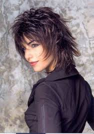 Modele De Coupe De Cheveux Degrade Mi Long Bruno Pele Energie Renouvelable Medium Hair Styles Medium Length Hair Styles Thick Hair Styles