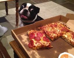 If a high amount has been ingested. Can Dogs Eat Pork Is Pork Or Bacon Toxic For Dogs