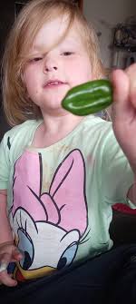 Why are my peppers black? The other plants are normal green!