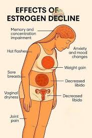 Image result for Estrogen