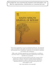 Image result for Schlechterina mitostemmatoides