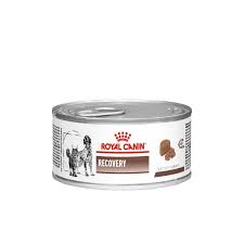 Royal canin recovery liquid este o dieta veterinara lichida ce asigura recuperarea cainilor si pisicilor adulte ajutand la recuperarea nutritionala din timpul convalescentei sau in cazul lipidozei hepatice la feline. Royal Canin Recovery Cats Dogs Best For Pets