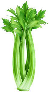Celery Png Clipart Gallery Yopriceville High Quality Free Images And Transparent Png Clipart