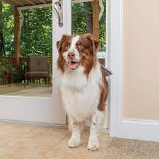 My cats actually figured out how to pop the sliding screen door out of its track. Buy Petsafe 1 Piece Sliding Glass Door For Dogs And Cats Fits 81 In To 96 In Patio Panel Sliding Glass Doors Adjustable Frame No Cutting Diy Installation Pet
