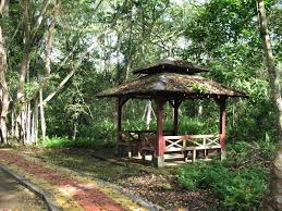 Go to kuala selangor nature park to discover a coastal nature haven with a variety of wildlife and a chance to understand the special qualities of wetland habitats. Kuala Selangor Nature Park Mapio Net