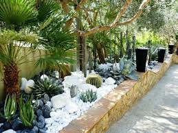 Mineral Garden Inspiration X Kaktus 2 Kaktusgarten Kakteen Garten