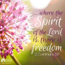 In whom also after that ye believed, ye were sealed with that holy spirit of promise, source: Pin On God The Holy Spirit
