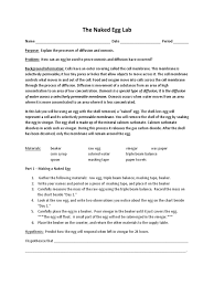 Measure the amount of water that was left using a graduated cylinder and record. The Naked Egg Lab Osmosis Cell Membrane