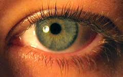 Creating realistic eyes in cg 2.0. Cameras Vs The Human Eye