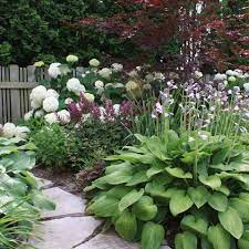 Pin By Jennifer Findlay Portraits On Gardens Cottage Garden Plants Traditional Landscape Shade Garden