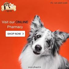 Check spelling or type a new query. Petpharmacy Instagram Posts Photos And Videos Picuki Com
