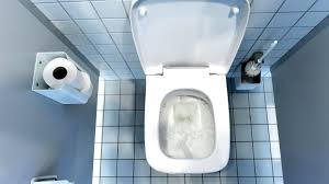 Die tragbaren toiletten oder auch porta potti müssen nach jedem besuch entleert werden. Toilette Gang Zum Klo Verwehrt Schulerin Erhalt 1 25 Millionen Dollar Stern De