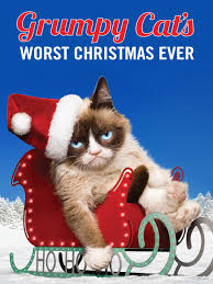 Elícula cats complete online del 2019 en español latino y subtitulada. Watch Grumpy Cat S Worst Christmas Ever Prime Video