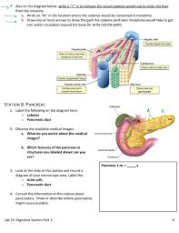The hepatic artery carries blood from the aorta to the liver, whereas the portal vein carries blood containing the digested nutrients from the entire gastrointestinal tract, and also from the spleen and pancreas to the liver. Station 6 Continued 3 Review The Information At Chegg Com