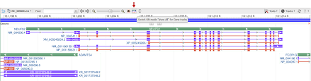 Accessing Rna And Protein Sequence Data