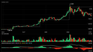 Last Week In Crypto July 29th Crypto Pro