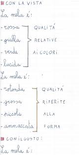 1 scheda stampabile per lo studente. Utilizzare I Cinque Sensi Per Individuare Gli Aggettivi Qualificativi Schede Stampabili Per La Classe Seconda Della Scuola Primaria