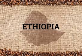 The Definitive Top 10 Coffee Growing Countries In The World Ranked By Experts Best Coffee Coffee Branding Ethiopia