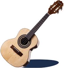 Image result for Cavacoa