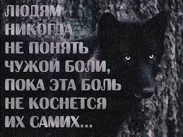 никому я тебя не отдам никогда я тебя не предам Kartinki Po Zaprosu Volk Status Novye Citaty Nastoyashie Citaty Silnye Citaty
