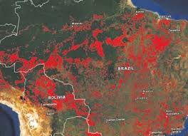 Halihazırda çeşitli uydularla dünya'daki iklim değişikliğini takip eden nasa'nın hazırladığı yangın haritası ise dünya'nın nasıl yandığını gözler önüne sermiş durumda. Amazon Ormanlarindaki Yangin Sondurulmezse Dunya Yoklukla Karsi Karsiya Takvim