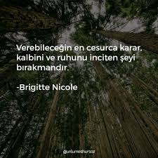 Verebilecegin En Cesurca Karar Kalbini Ve Ruhunu Inciten Seyi Birakmandir Brigitte Nicole Ozlu Sozler Guzel Soz Alinti Sozler