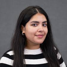 Summer Research Program: Alumni Projects