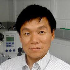Yihong Ye, Ph.D.