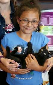 Ghibli characters as kitties 😻 by https://www.instagram.com/loveyoon.too/