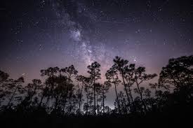The perseids were first visible beginning july 14, but will last through august 24. Dark Skies A Jupiter Moon Encounter And Boeing S Launch America What You Can See In The Night Sky This Week