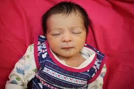 🥰 Álbum dos Bebês 📸 De segunda a sexta, os recém-nascidos na maternidade  do Hospital Centenário são fotografados em seus bercinhos. Na sexta-feira,  publicamos em nossas páginas do Facebook e Instagram. Essa