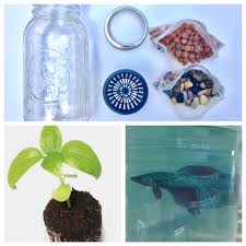 How to make a diy canning jar aquaponics aquarium: How To Build A Glass Jar Aquaponics Herb Garden Nosoilsolutions
