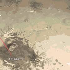 Roger Roach Cockroach GIF