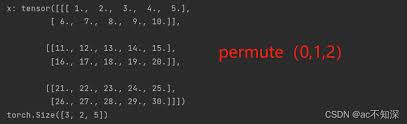 pytorch中permute()函数用法补充说明(矩阵维度变化过程) - 路饭网