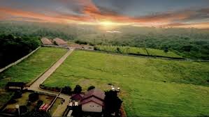 Dekat universitas majalengka ii yang akan dibangun, 2. Tanah Kavling Murah Cocok Untuk Hunian Dan Investasi Area Bogor Graha288