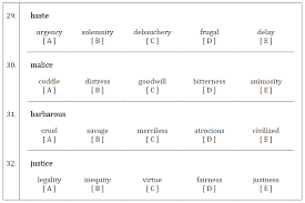 11 Cem Synonyms Antonyms Test Paper 2 Piacademy Tutors