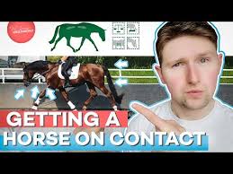 My Horse won't Ride to the Bit